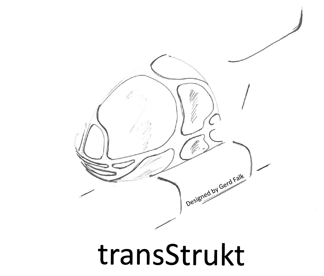 Logo Transstrukt